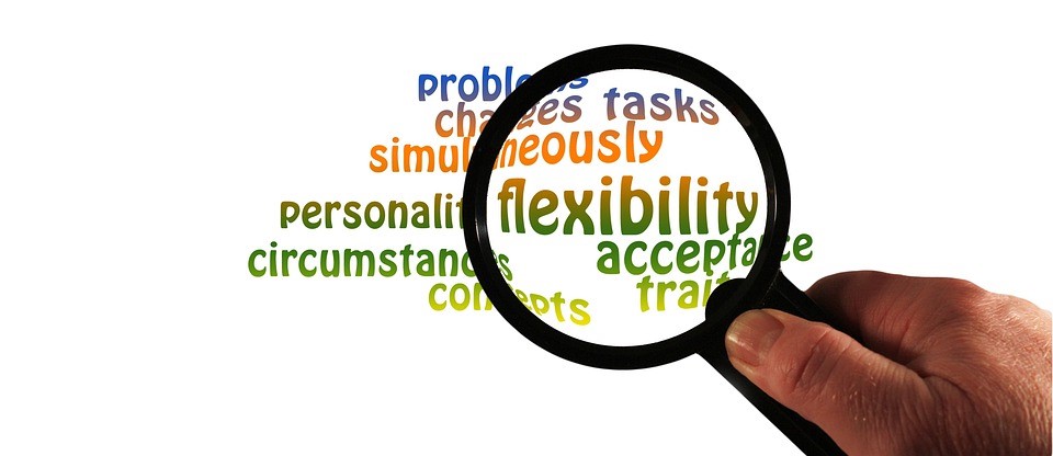 Images of words with the word "flexibility"