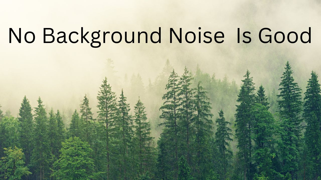 Have trees with clouds above with the words "No Background Noise Is Good"