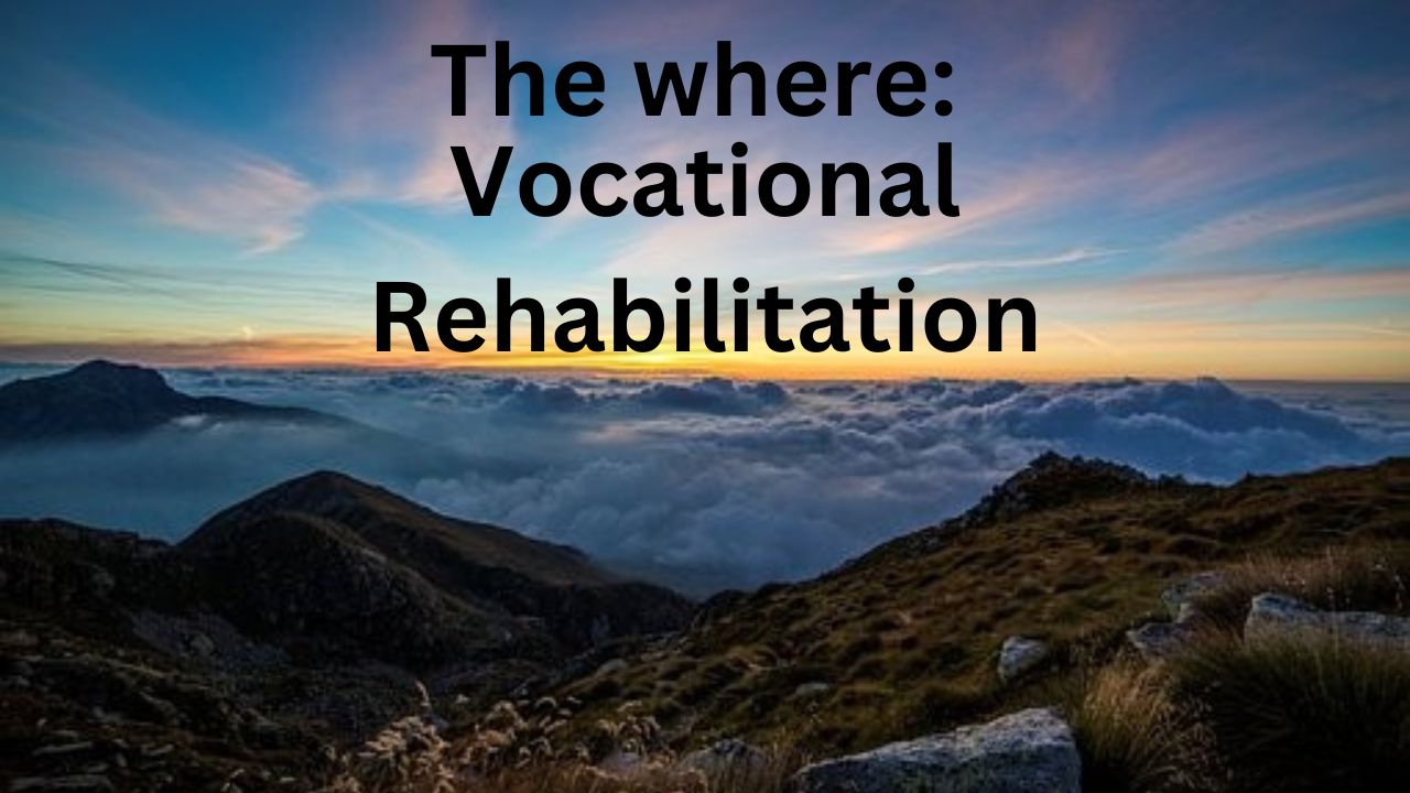 Have the word "The where: Vocational Rehabilitation" above a picture of mountains